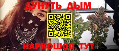 mdpv Кимры