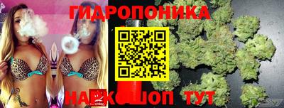 ПСИЛОЦИБИНОВЫЕ ГРИБЫ Кинель