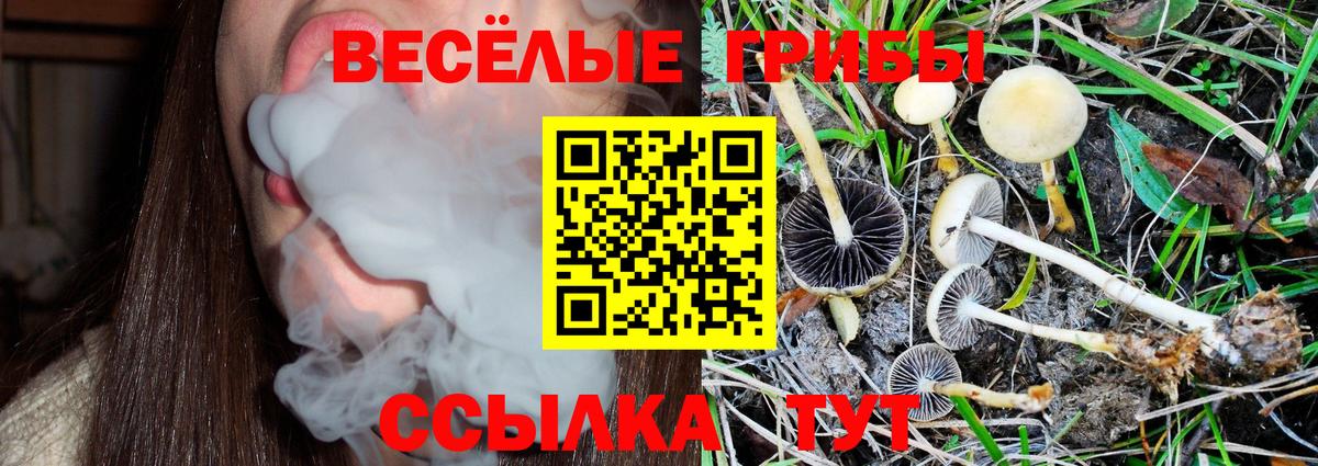 Азов  Псилоцибиновые грибы мухоморы  Вход с VPN 