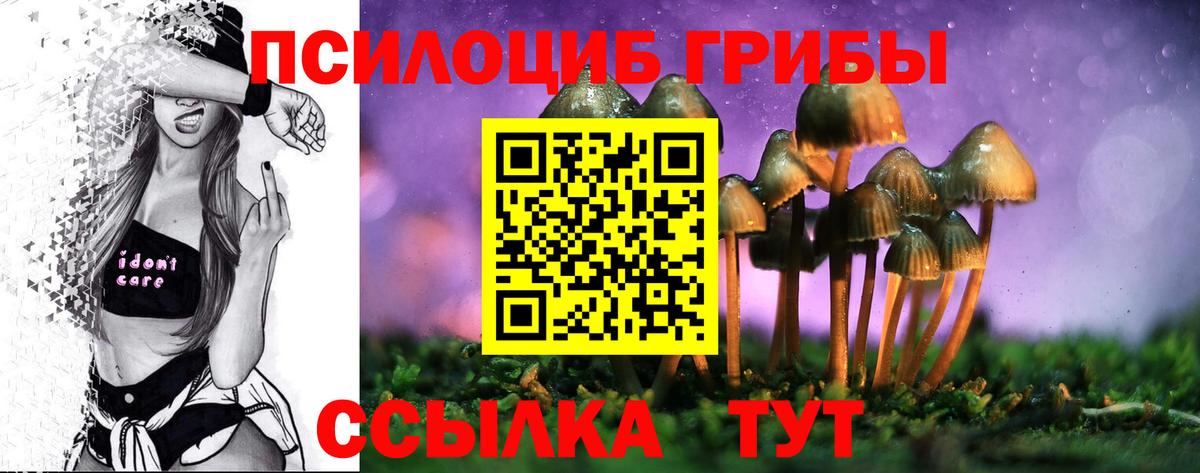 Псилоцибиновые грибы мицелий Азов